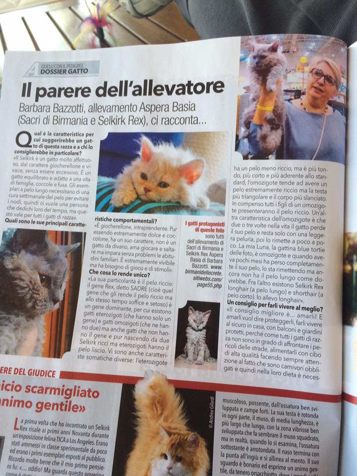 ARGOS -Maggio 2016 SR.jpg