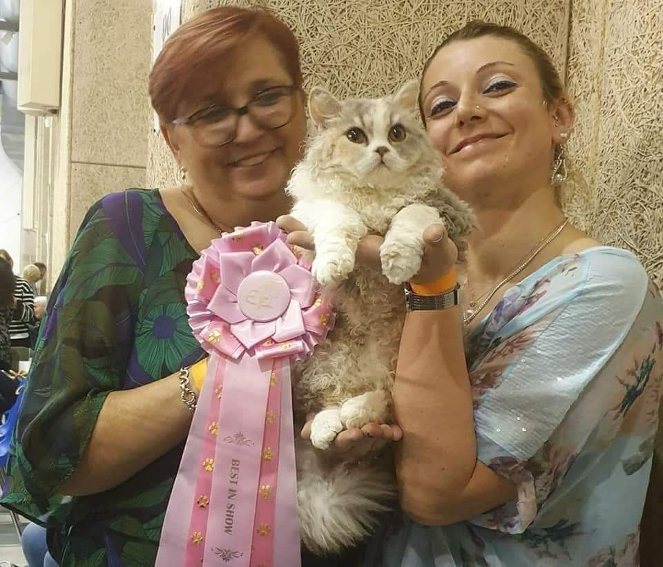 FB_IMG_1618129616208