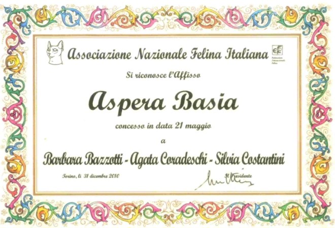 Screenshot_20231116_223416_Document Scanner